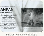 Eng. Ch. Nanfan Sweet Apple