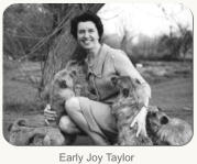 Early Joy Taylor