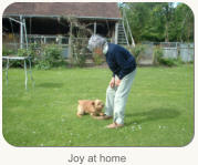 Joy at home