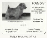 Ragus Browned Off Ad