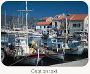 Caption text