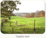 Caption text
