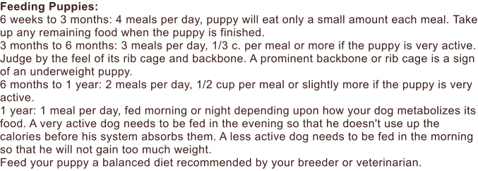 Feeding Puppies:  6 weeks to 3 months: 4 meals per day, puppy will eat only a small amount each meal. Take up any remaining food when the puppy is finished. 3 months to 6 months: 3 meals per day, 1/3 c. per meal or more if the puppy is very active. Judge by the feel of its rib cage and backbone. A prominent backbone or rib cage is a sign of an underweight puppy. 6 months to 1 year: 2 meals per day, 1/2 cup per meal or slightly more if the puppy is very active. 1 year: 1 meal per day, fed morning or night depending upon how your dog metabolizes its food. A very active dog needs to be fed in the evening so that he doesn't use up the calories before his system absorbs them. A less active dog needs to be fed in the morning so that he will not gain too much weight. Feed your puppy a balanced diet recommended by your breeder or veterinarian.