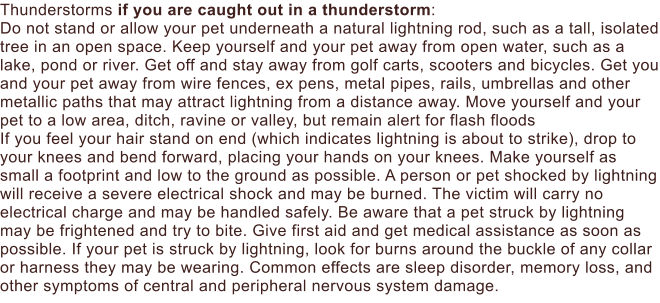 Thunderstorms if you are caught out in a thunderstorm: Do not stand or allow your pet underneath a natural lightning rod, such as a tall, isolated tree in an open space. Keep yourself and your pet away from open water, such as a lake, pond or river. Get off and stay away from golf carts, scooters and bicycles. Get you and your pet away from wire fences, ex pens, metal pipes, rails, umbrellas and other metallic paths that may attract lightning from a distance away. Move yourself and your pet to a low area, ditch, ravine or valley, but remain alert for flash floods If you feel your hair stand on end (which indicates lightning is about to strike), drop to your knees and bend forward, placing your hands on your knees. Make yourself as small a footprint and low to the ground as possible. A person or pet shocked by lightning will receive a severe electrical shock and may be burned. The victim will carry no electrical charge and may be handled safely. Be aware that a pet struck by lightning may be frightened and try to bite. Give first aid and get medical assistance as soon as possible. If your pet is struck by lightning, look for burns around the buckle of any collar or harness they may be wearing. Common effects are sleep disorder, memory loss, and other symptoms of central and peripheral nervous system damage.