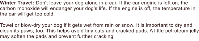 Winter Travel: Don't leave your dog alone in a car. If the car engine is left on, the carbon monoxide will endanger your dog's life. If the engine is off, the temperature in the car will get too cold.  Towel or blow-dry your dog if it gets wet from rain or snow. It is important to dry and clean its paws, too. This helps avoid tiny cuts and cracked pads. A little petroleum jelly may soften the pads and prevent further cracking.