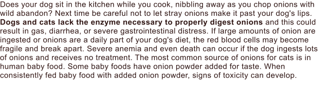 Does your dog sit in the kitchen while you cook, nibbling away as you chop onions with wild abandon? Next time be careful not to let stray onions make it past your dog's lips. Dogs and cats lack the enzyme necessary to properly digest onions and this could result in gas, diarrhea, or severe gastrointestinal distress. If large amounts of onion are ingested or onions are a daily part of your dog's diet, the red blood cells may become fragile and break apart. Severe anemia and even death can occur if the dog ingests lots of onions and receives no treatment. The most common source of onions for cats is in human baby food. Some baby foods have onion powder added for taste. When consistently fed baby food with added onion powder, signs of toxicity can develop.