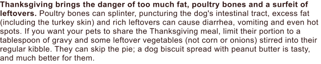 Thanksgiving brings the danger of too much fat, poultry bones and a surfeit of leftovers. Poultry bones can splinter, puncturing the dog's intestinal tract, excess fat (including the turkey skin) and rich leftovers can cause diarrhea, vomiting and even hot spots. If you want your pets to share the Thanksgiving meal, limit their portion to a tablespoon of gravy and some leftover vegetables (not corn or onions) stirred into their regular kibble. They can skip the pie; a dog biscuit spread with peanut butter is tasty, and much better for them.
